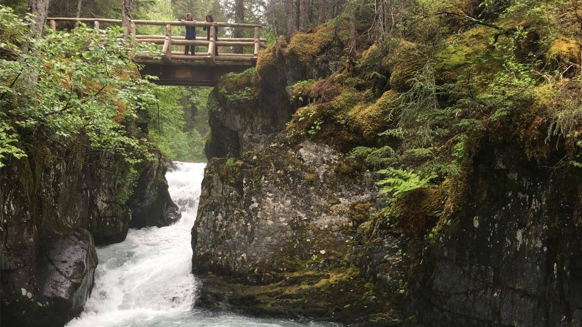 View of Winner Creek on a Nature Hike